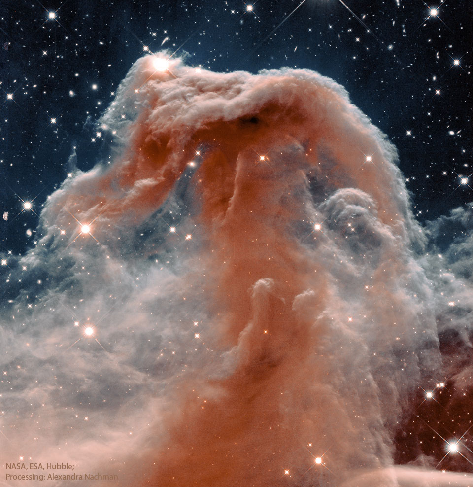 The featured image just the head of the famous Horsehead
Nebula as captured by the Hubble Space Telescope in infrared
light.
Please see the explanation for more detailed information.