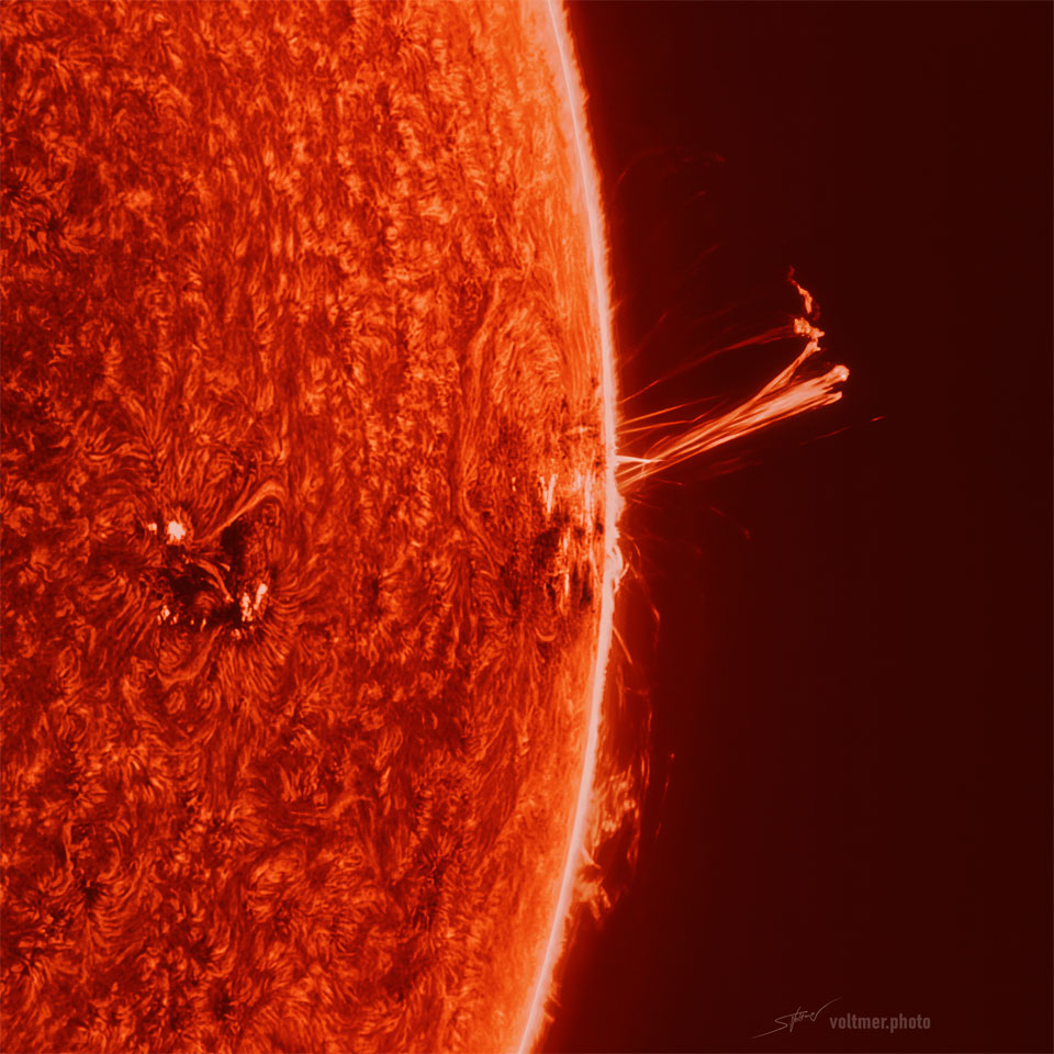 Part of the Sun is pictured, oriented as the right
edge. The surface is textured like a carpet. Over the edge
a long multi-pronged prominence stands out. Behind the Sun
is the darkness of space.
Please see the explanation for more detailed information.