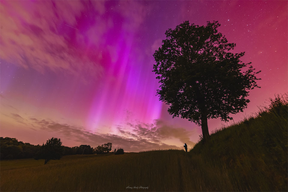 Red and purple aurora appear over a field in Poland.
A tree is seen to the right, and a person stands in the
distance holding a glowing phone.
Please see the explanation for more detailed information.