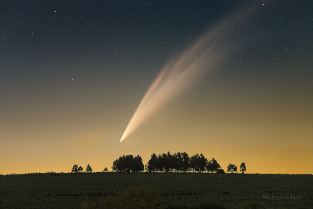 A foreground grass field is shown below a distant field
of stars. On the grass field are some trees. Dwarfing the
trees, in the sky, is a comet with a long tail.
Please see the explanation for more detailed information.