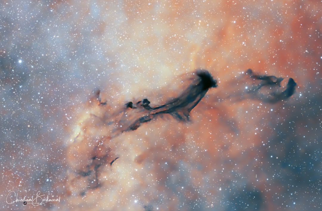 A starfield with a light, orange-tinged background
has a dark nebula that looks like a flying ghost visible
near the middle.
Please see the explanation for more detailed information.