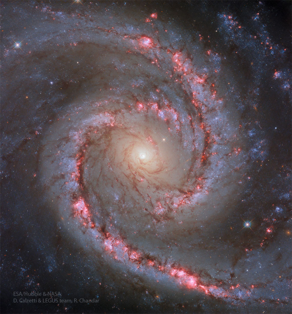 A spiral galaxy fills the frame with a white center
in the middle. Two bright arms spiral out from the center
filled with red nebulas along their spines and surrounded
by bright blue star clusters.
Please see the explanation for more detailed information.