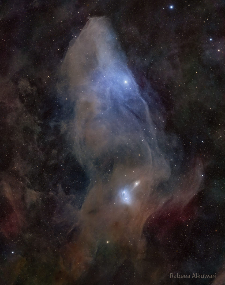 A starfield surrounds a large nebula that is mostly brown
and blue and has an appearance reminiscent of the head of a horse.
This nebula is not the more famous Horsehead Nebula.
Please see the explanation for more detailed information.