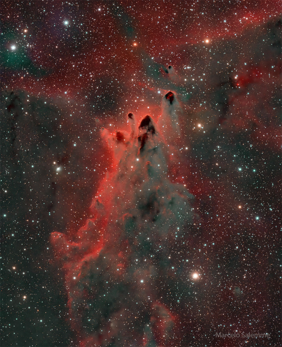 A star field with a few red wisps surrounds
a nebula that has many several dark components each
of which has a dark head closer to the top of the image.
A red glow is brightest near the top of each component.
Please see the explanation for more detailed information.