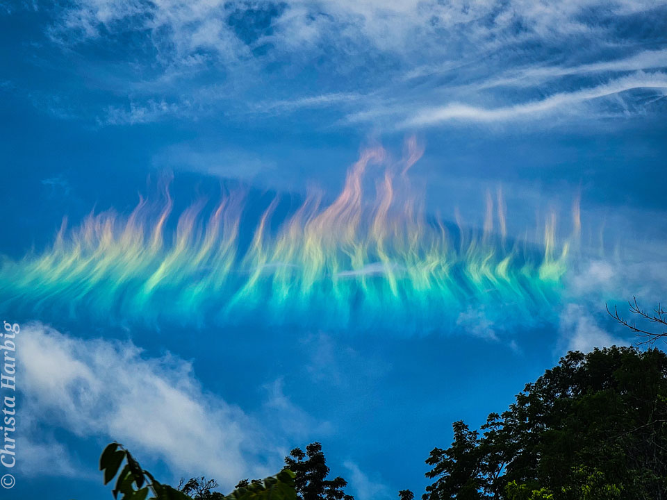Blue sky has white clouds across the top and dark
tree tops across the bottom. Across the middle is a
very colorful row of clouds that are wavy and are
orange at the top and green at the bottom.
Please see the explanation for more detailed information.