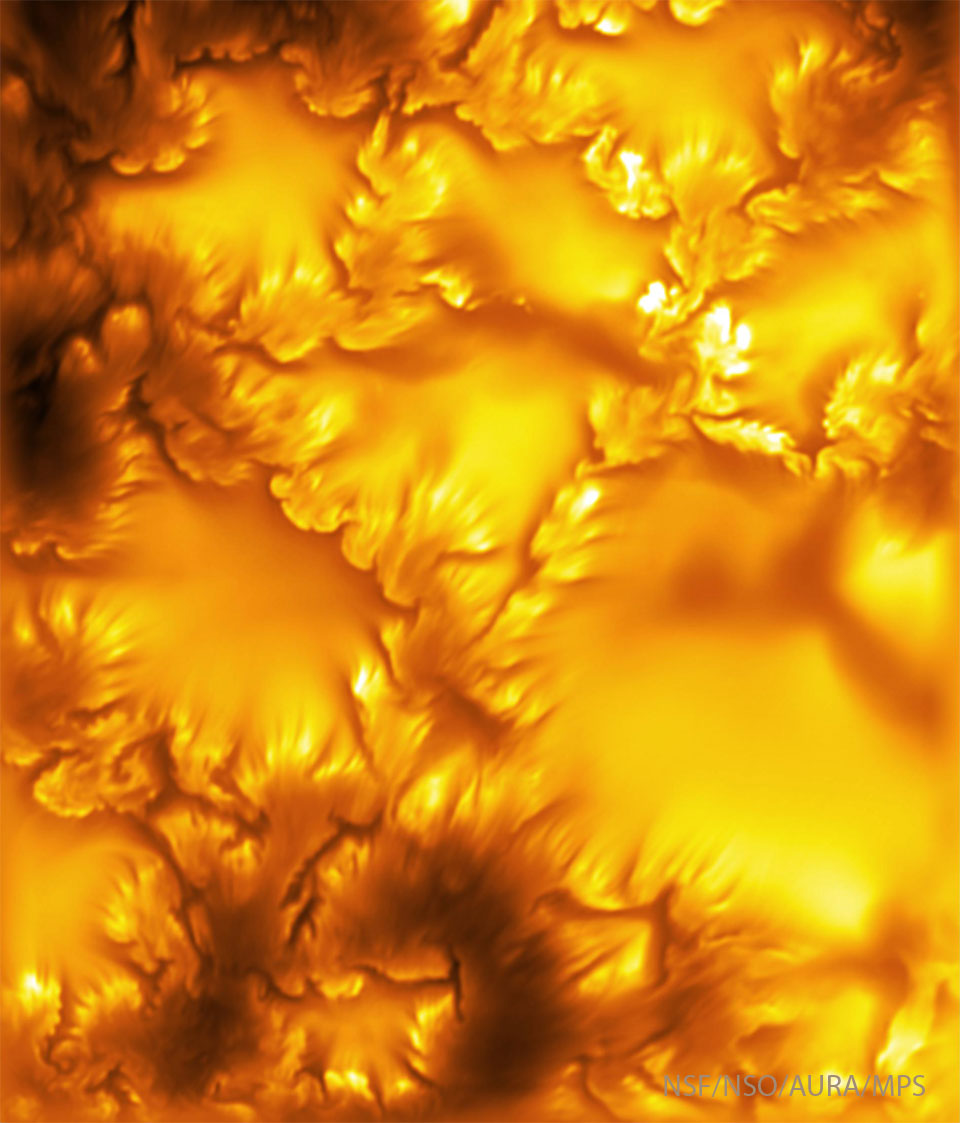 A image shows flowery dark and light structures
on a yellow background.
Please see the explanation for more detailed information.