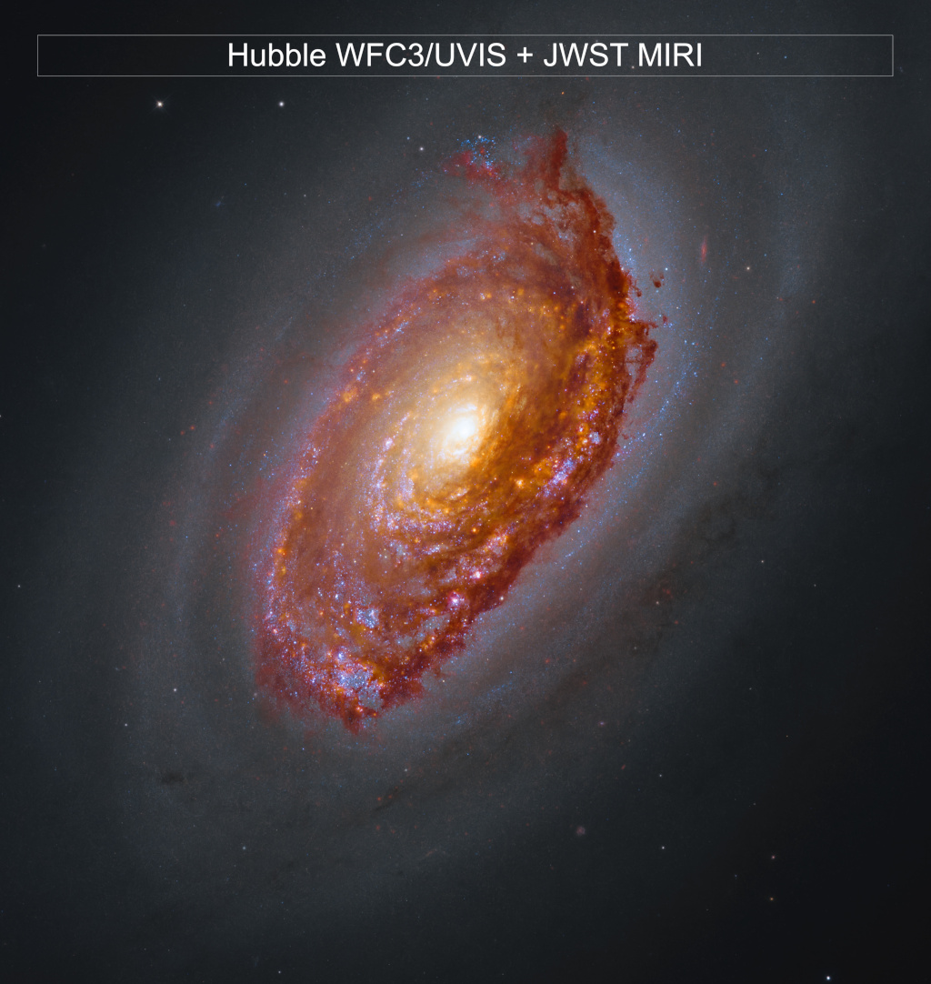 Hubble and JWST image of M64. A massive spiral galaxy glows with a yellow core, surrounded by arms full of orange-brown dust and pink and blue patches of star formation. Framed by a haze of dark dust, the galaxy shines against black space dotted with a few stars.